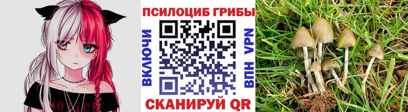 сайты даркнета официальный сайт  Боготол  Галлюциногенные грибы GOLDEN TEACHER  дарнет шоп 