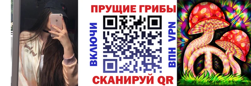 Псилоцибиновые грибы мицелий Боготол