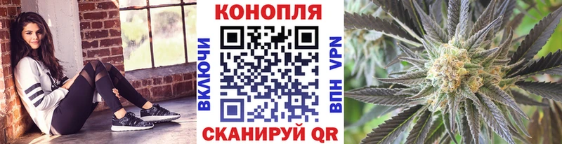 Шишки марихуана Amnesia  Боготол 